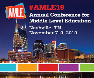 Conference Week, 2019! UCSS and AMLE19
